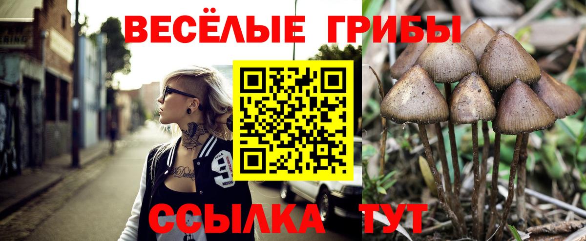 где можно купить наркотик  Вход с VPN  Керчь  Псилоцибиновые грибы Magic Shrooms 