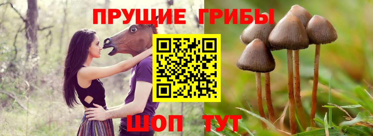 Галлюциногенные грибы Cubensis Керчь